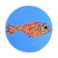 Sfera pesce rosso 2009 particolare - diametro 40cm, olio su plexiglass trattato con resine, acrilico e smalti | Gianna Moise